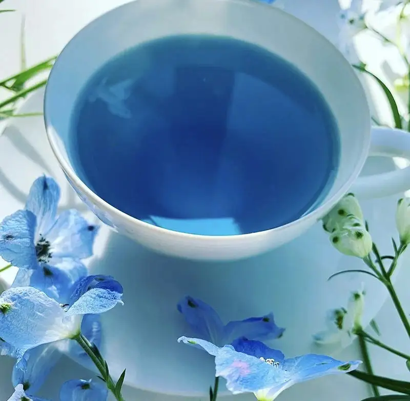 薬剤師が作るハーブティー -穏- Blue Sky（ブルーミントブレンド） F4N-1354
