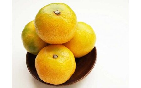 【2026年先行予約】ハウスみかん 二種 食べ比べ 4パック 【ミカン 蜜柑 柑橘 温州みかん 有田みかん ハウスミカン 和歌山】_BF6057