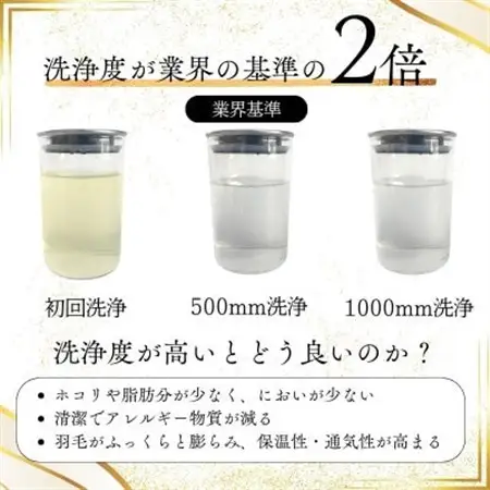 〈超長綿100%60番手サテン織〉羽毛布団 本掛け キング ホワイトダックダウン93%Dp380【1144984】