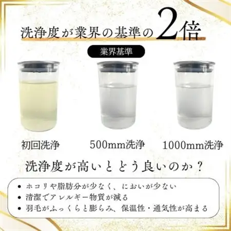 〈超長綿100%60番手サテン織〉羽毛布団 本掛け シングル ホワイトダックダウン93% 380dp【1144985】
