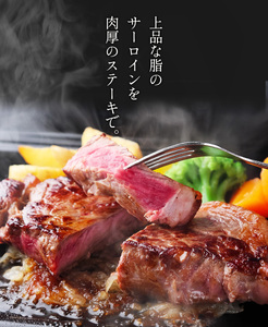 【極上 丹波篠山牛】 サーロインステーキ （3枚入） サーロイン AB15
