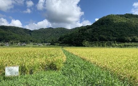 【令和7年産】抜群の味と香り 丹波篠山産コシヒカリ5kg×１ 山椒醤油漬セット  ごはんのお供付き AD29    