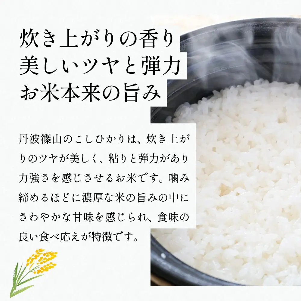寄付額改定〈スピード出荷〉減農薬 特A 丹波篠山産 特別栽培米 こしひかり 10kg 精米 小分け