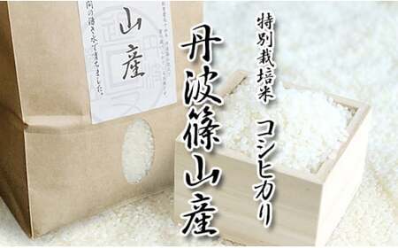 【令和7年産】丹波篠山産 特A 特別栽培米 コシヒカリ  (2kg) こしひかり  BA02