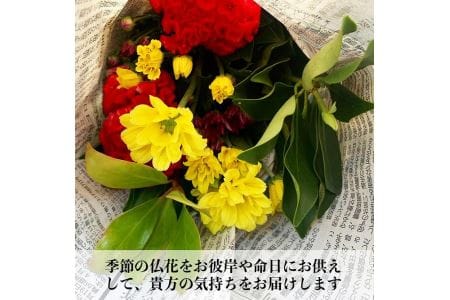 丹波篠山　ふるさとのお墓のお手入れ・お墓参り代行（年3回） BM03