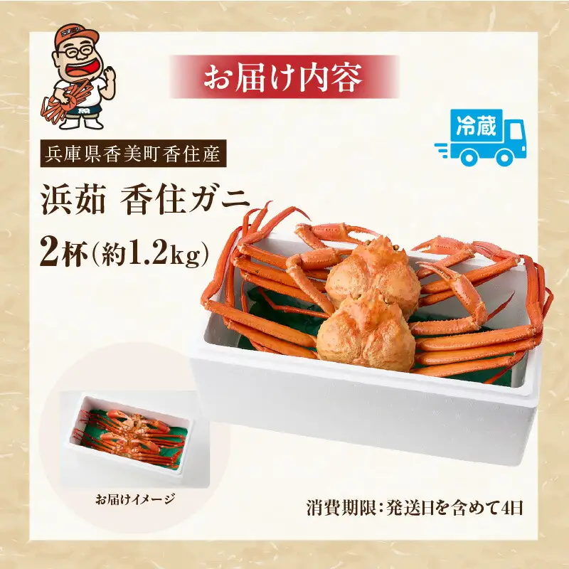 高評価☆4.6 香住ガニ 約600g×2匹（約1.2kg以上）【令和8年9月中旬以降発送予定】かに カニ 07-01