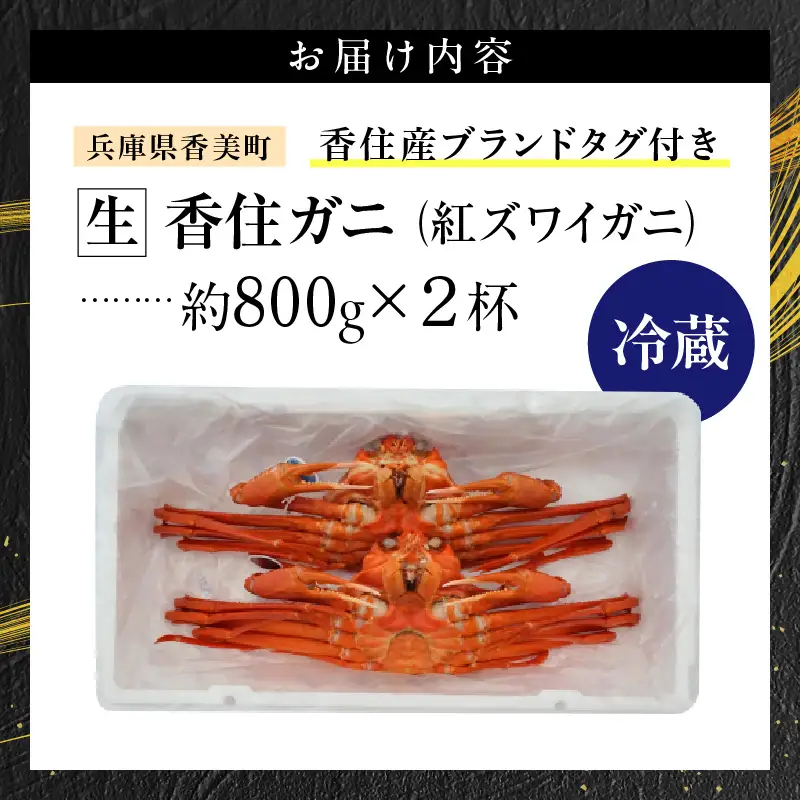 《生》 香住ガニ 大 タグ付き 約800g×2枚【令和8年11月以降発送予定】かに カニ 03-07