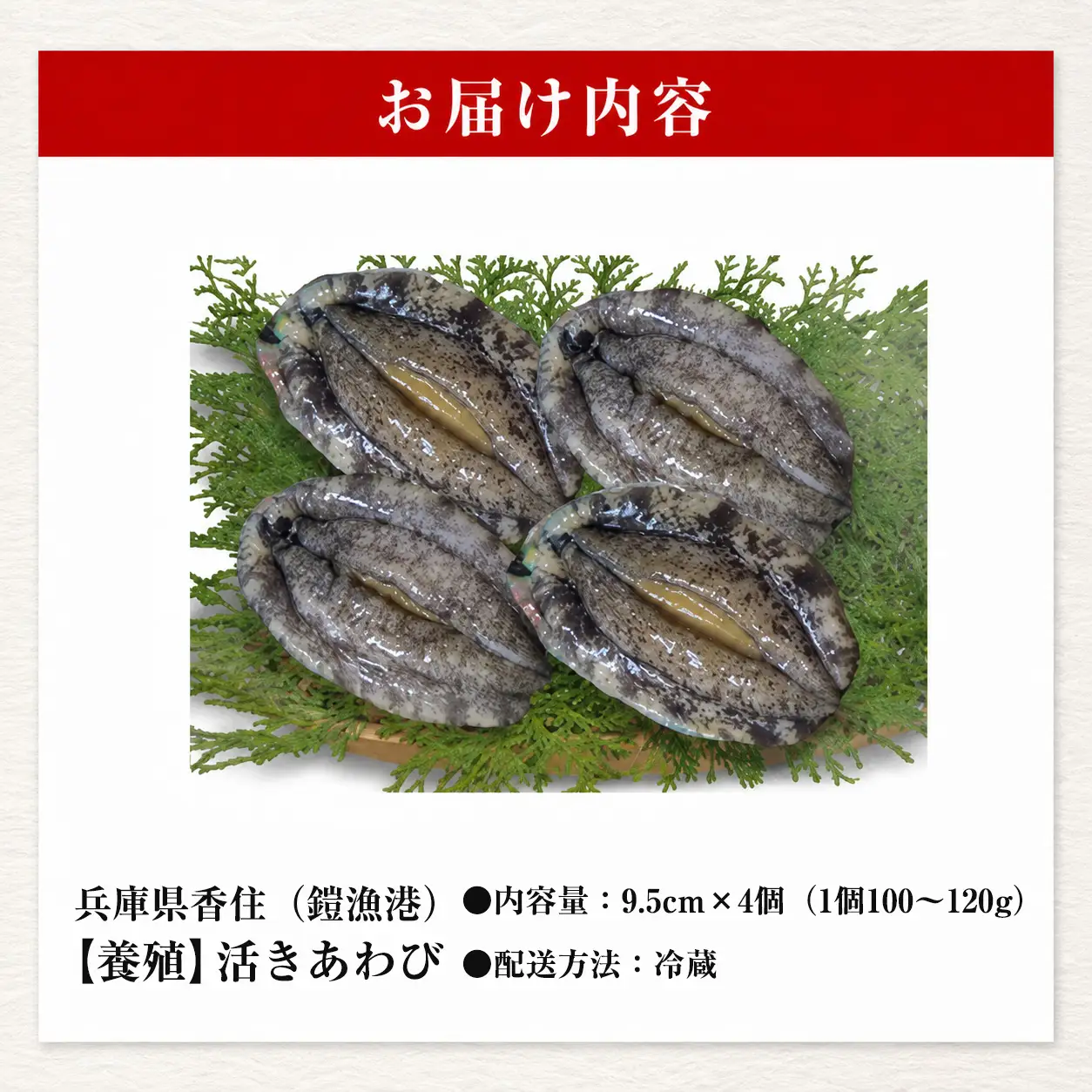 高評価☆4.8 活あわび 9.5cm×4枚 400g～480g (1個100～120g） あわび アワビ 20-03