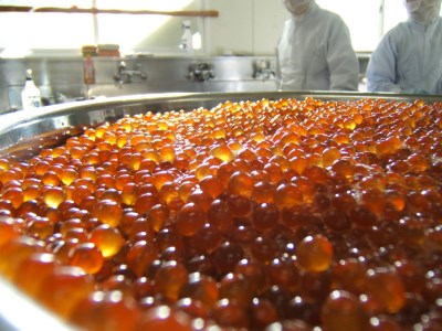 函館冨茂登のいくら醤油漬け 3瓶入り イクラ いくら 醤油漬け _HD043-001