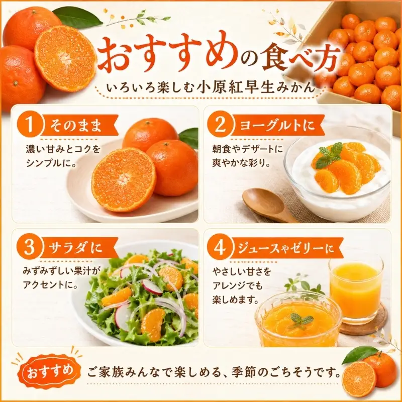小原紅早生みかん　約5kg 果物類 柑橘類 フルーツ 