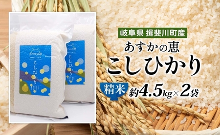 こしひかり あすかの恵 精米 真空パック こしひかり【約4.5kg×2袋】