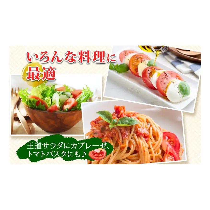 桃太郎トマト 北海道 高橋農園 大玉 桃太郎トマト【4kg以上 18〜24玉】