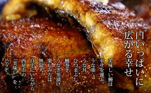 三河産うなぎ 蒲焼 《2尾（計240～250g）》「生産者愛知養魚｣がお届け・A092-12