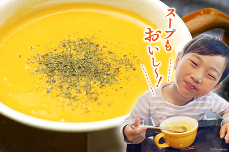 【期間限定発送】 野菜 栗カボチャ 2玉