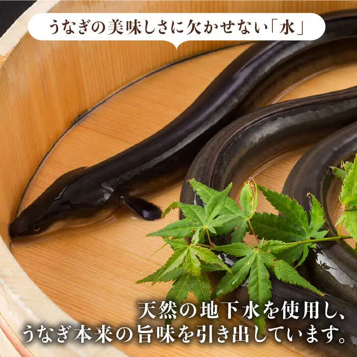 ふっくらジューシーのこだわりうなぎ【12回定期便】国産うなぎの白焼 6枚セット×12回[FAD020]