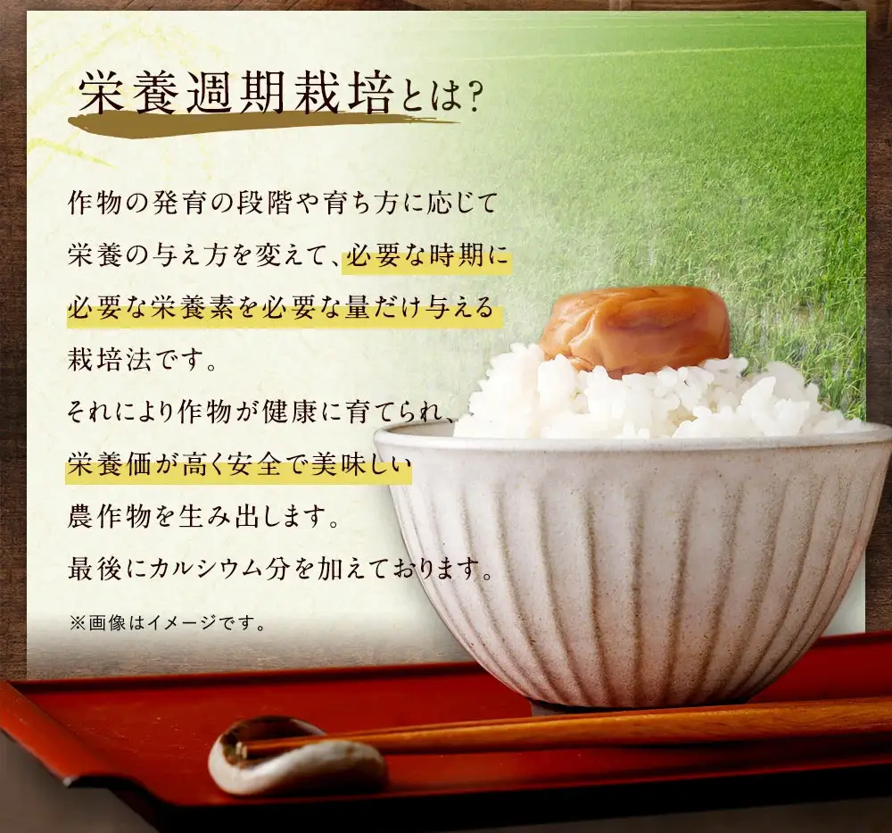 幸田町産「栄養週期栽培米」あいちのかおり 10kg 白米 精米 お米 米 ご飯