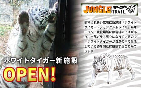 秋吉台サファリランド 年間フリーパス引換券(小人)