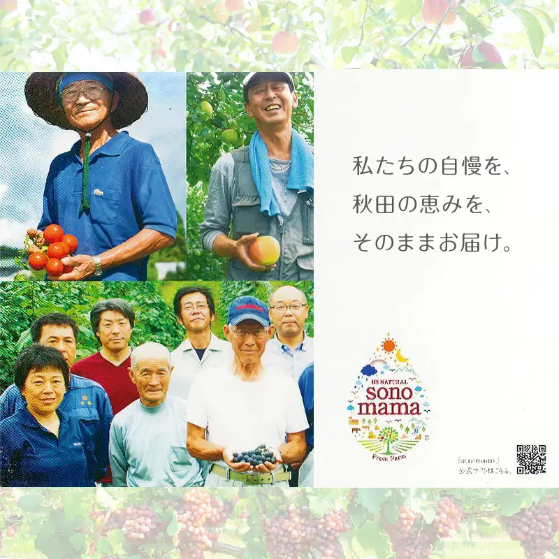 ジュースセット sonomamaりんご赤ぶどう ジュースセット【160g×10本】