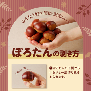 【期間限定】低温貯蔵 東美濃ぽろたん（生栗）東美濃農業協同組合【発送日10月末～12月上旬】 F4N-1960