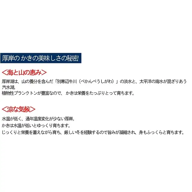 牡蠣 LLサイズ 12個 厚岸産 ブランドかき カキえもん 牡蠣