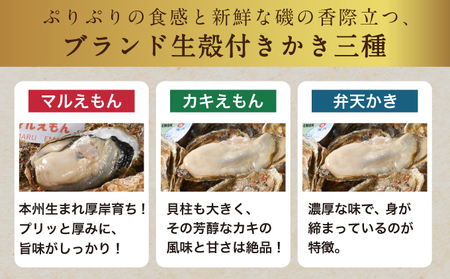 北海道厚岸産 殻かき三種 食べ比べ お試し セット　牡蠣 生食 生牡蠣 貝付き牡蠣 貝 海鮮 魚介類 殻付き牡蠣 