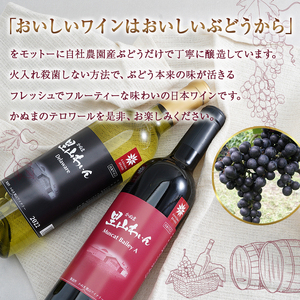 かぬま 里山わいん 輝き 白ワイン 720ml お届け 入金確認後 14日～1ヶ月 お酒 