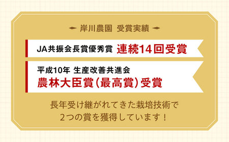 先行予約 2027年1月～発送 【5回定期便】いちご5品種食べ比べ / いちご [IAP010]