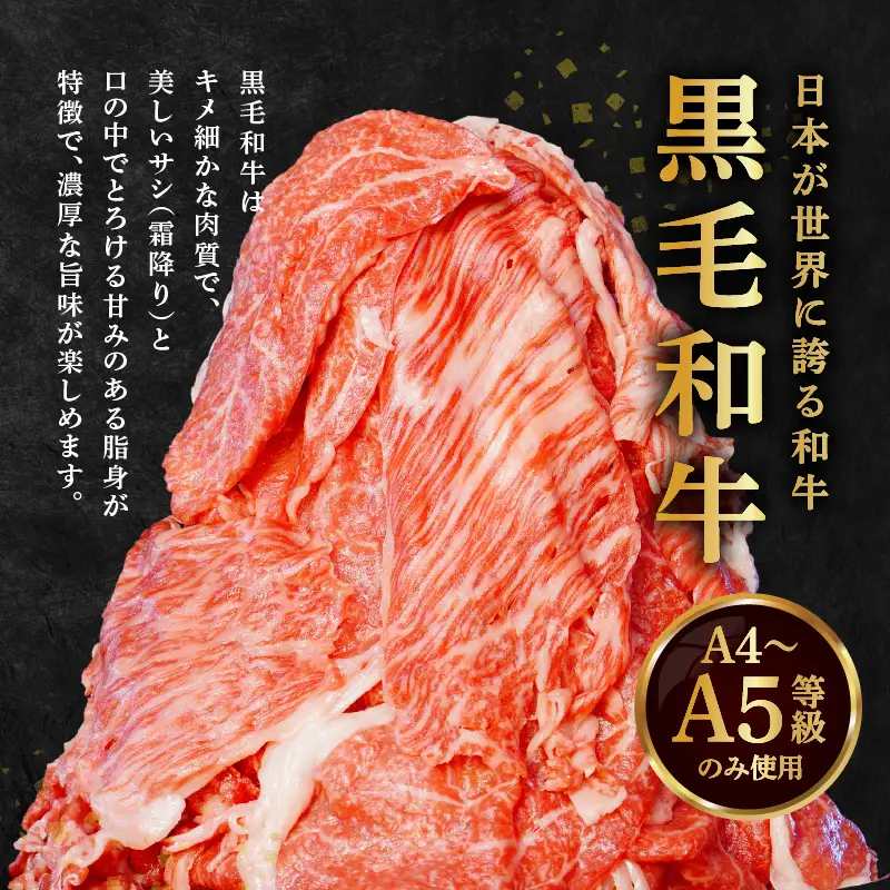 S001-001-T06A_【定期便6回】A4～A5等級 黒毛和牛切り落とし1kg（500g×2P）6か月連続お届け / 【定期便】 6回 ミシュランビブグルマン 獲得 黒毛和牛 切り落とし 500g × 2パック A4 〜 A5等級 特選 毎月届く 肉 牛肉 和牛 国産 サシ 霜降り 黒毛和種 炒め物 牛丼 肉じゃが 肉うどん 熊本県 天草市 お取り寄せ グルメ 送料無料