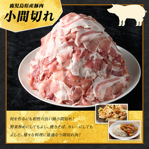 《訳あり》鹿児島県産 豚小間切れ 2kg（200ｇ×10P） 豚肉【まつぼっくり】matu-7228