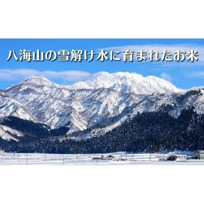 【令和8年産新米】【６ヶ月定期便】南魚沼産コシヒカリ　特別栽培米　八富米　　白米５ｋｇ×全6回　【2026年10月中旬から1ヶ月以内に順次発送予定】
