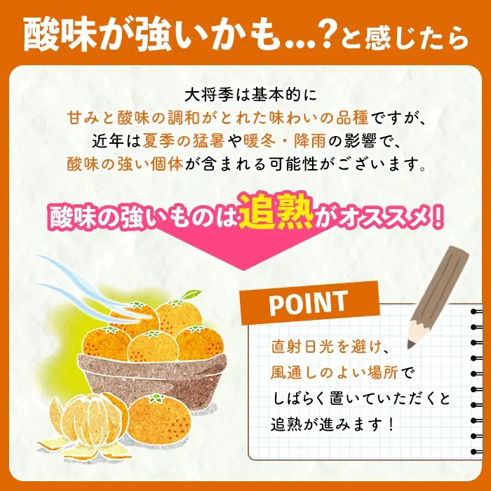 ＜先行予約受付中！2027年1月中旬以降順次発送予定＞ 阿久根市で生まれたオリジナル品種「大将季」(約5kg・15～24玉) 果物 フルーツ 柑橘 果実 ハウス栽培 ギフト 【鹿児島いずみ農業協同組合】akn018-22