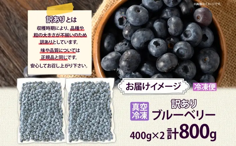 訳あり ブルーベリー 800g 冷凍 フルーツ ブルーベリー