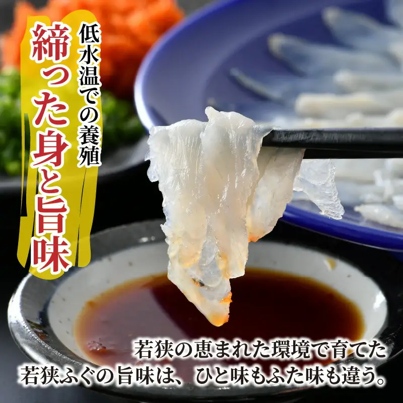 【TVで紹介されました】【先行予約/10月19日より順次配送】【着日指定・のし対応可】若狭ふぐ 2人前 充実セット ふぐ 小浜市  / 阿納ふぐ組合[BFAC005] 