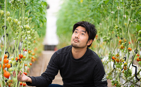 トマトジュースセット 3種 飲み比べ 野菜飲料 トマトジュースセット【1L×3本】