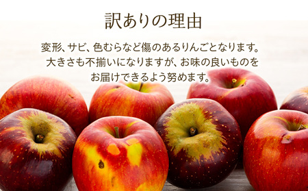 訳あり りんご あいかの香り 約5kg セット 2026年 令和8年度発送分 リンゴ 林檎 長野 フルーツ 果物 信州産 長野県産 特産 産地直送 家庭用 おすすめ
