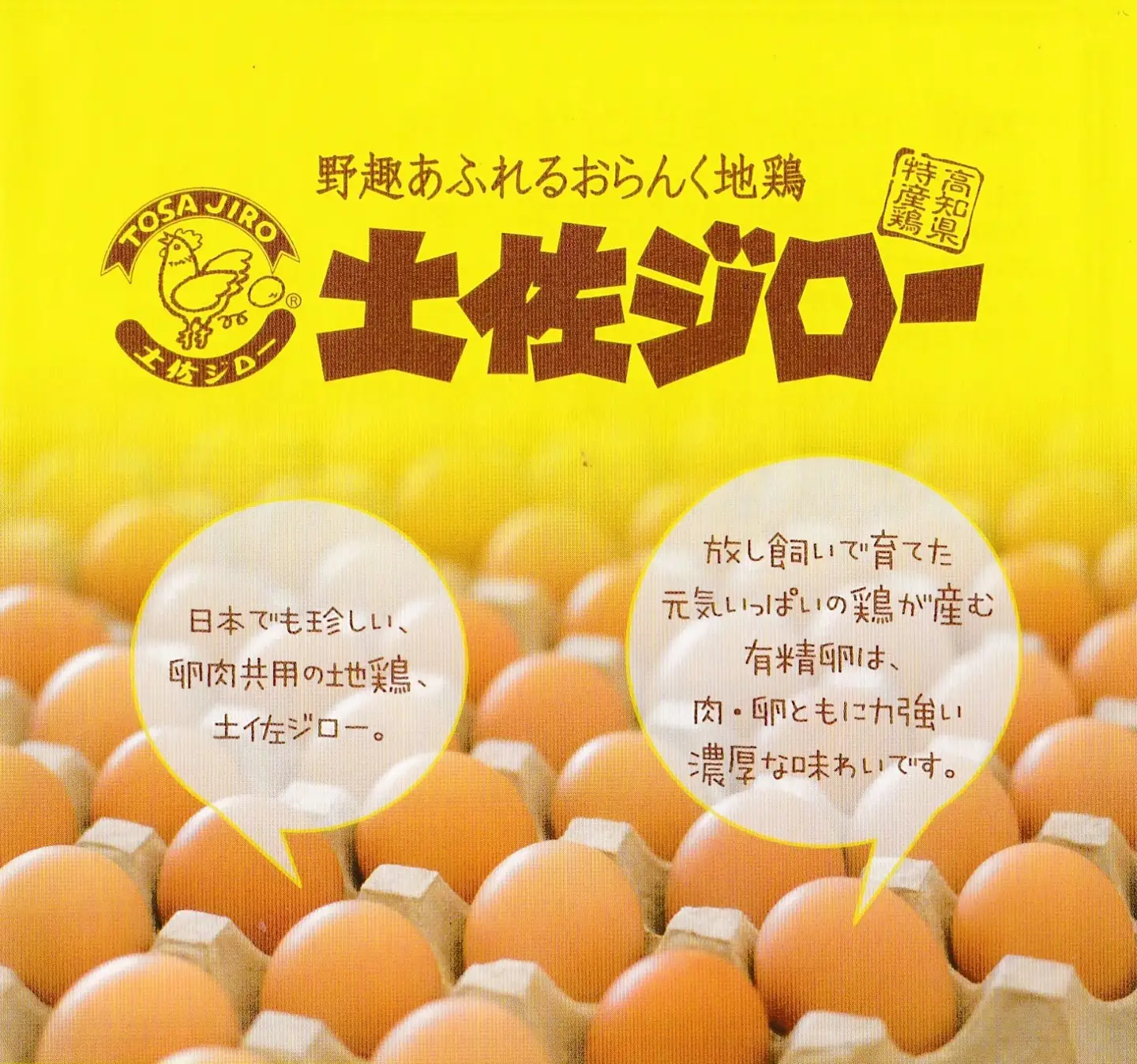 土佐ジロー親鶏肉1羽分まるまるパック×3パック＋鶏ガラ3羽分×1パック 高知県特産鶏