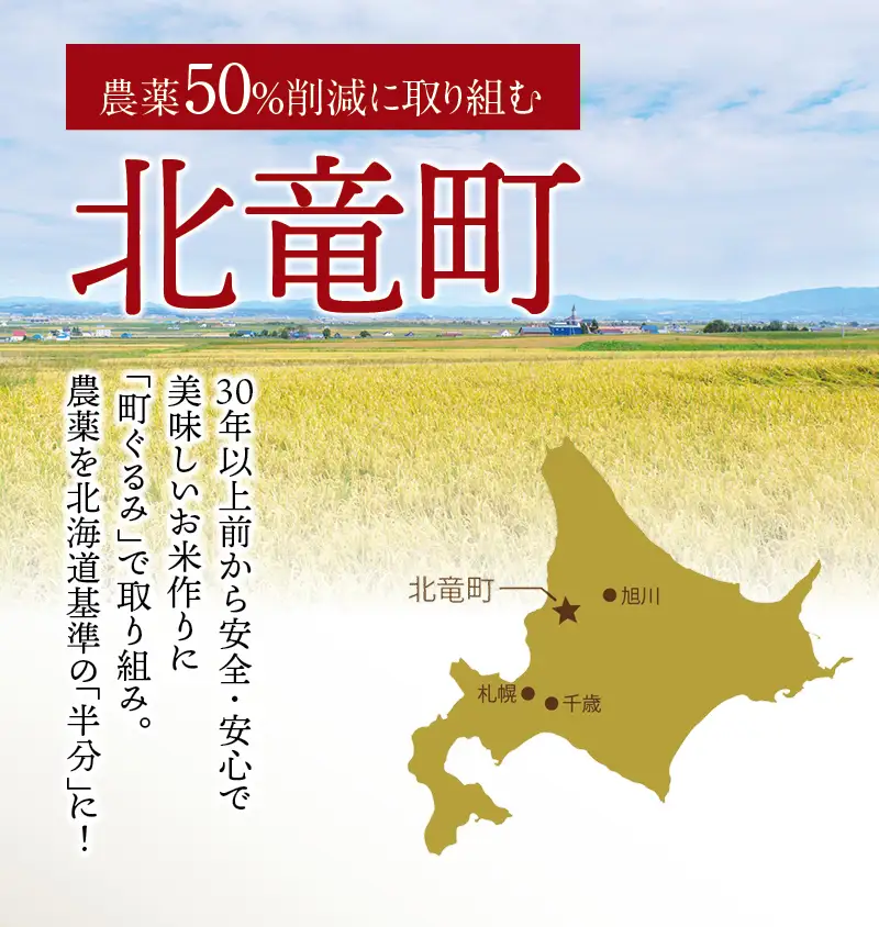 【令和7年産】 ゆめぴりか 6合(900g)【sun400-yume-r0d9-R7】
