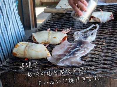 わさおの店の炭火焼きいか 3パック 200g以上×3枚 魚貝類 イカ 加工食品 
