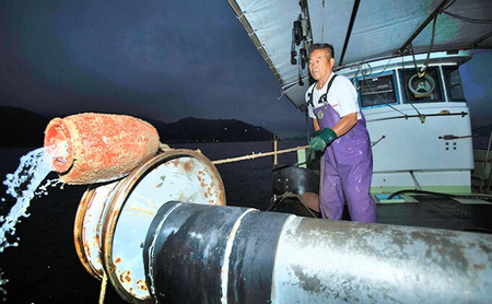 【三原市漁業協同組合】三原やっさタコのお造り 三種盛り 刺身 蛸 タコ 魚介類 マダコ 瀬戸内 031003