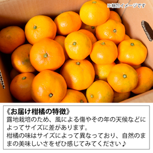 みかん 柑橘【先行受付】【2026年10月中旬以降発送】 甘さと酸味が絶妙！極早生 みかん 約7kg 三原 佐木島 017013