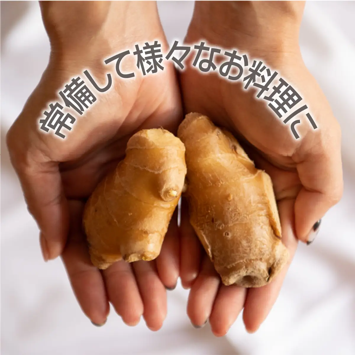 生姜 2kg　高知県産 しょうが 囲い生姜 低農薬栽培 農家直送 熟成仕上げ