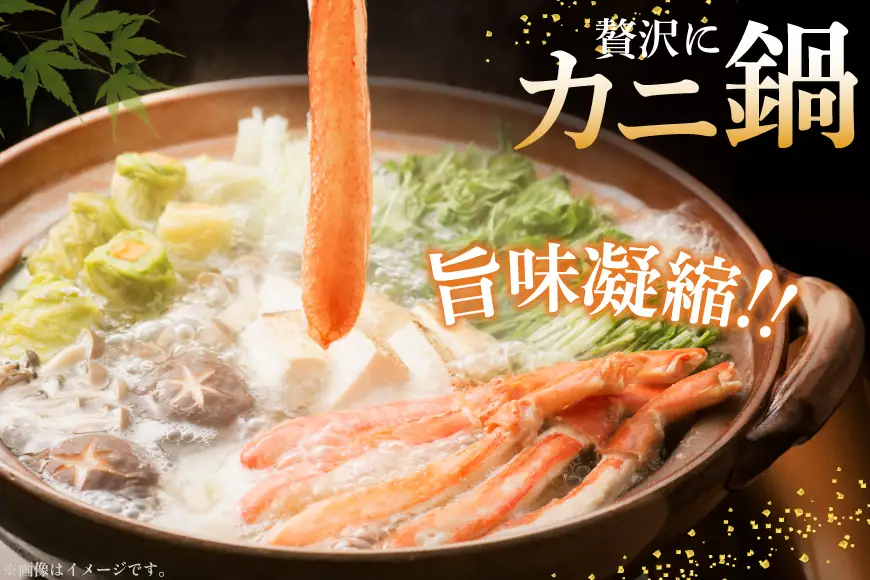 生本ずわいがに 約500g カニ 蟹 かに 