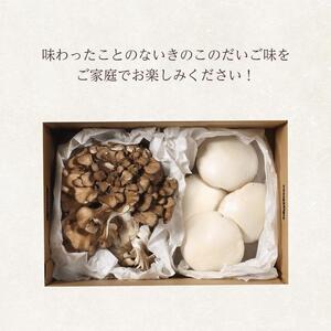 香り舞茸とあわび茸セット