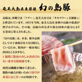 仙台牛・幻の島豚ロースセット A5ランク すき焼き 贈答 ギフト 父の日 宮城県 石巻市