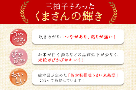 令和7年産 矢護川清流そだち(くまさんの輝き) 5kg 大津町矢護川おいしい米作り研究会 お米 熊本県 大津町《60日以内に出荷予定(土日祝除く)》