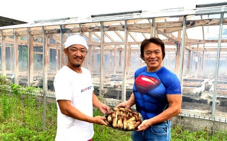 田野屋塩二郎の松茸塩  『芳香』 ２５ｇ≪数量限定≫   