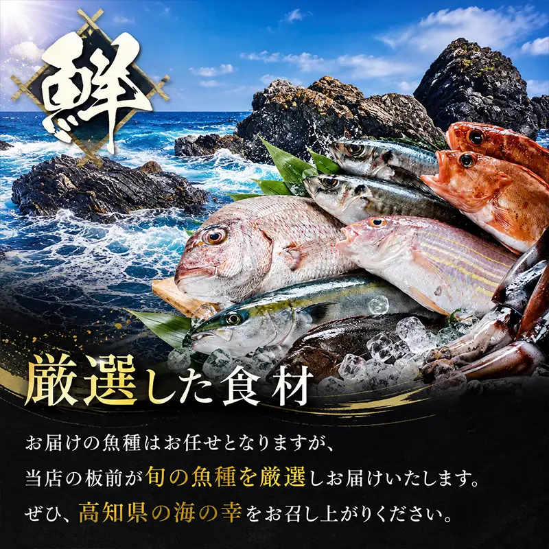 【6ヶ月 定期便】 初音自家製　室戸の海鮮漬け丼(旬魚)170g おかずに海鮮丼に茶漬けに