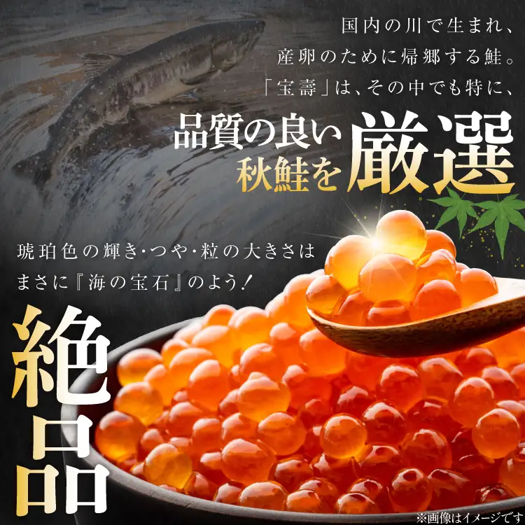 【14日以内に発送】【TVで紹介！】最高級3特 国産 味付 いくら 宝壽 醤油漬 120g×1 