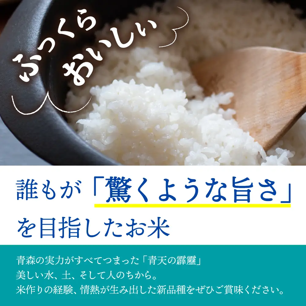 青天の霹靂 5kg 定期便6ヶ月 令和7年産米 精米 特A 晴天の霹靂