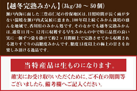 ふるーつ物語「越冬完熟みかん」約3kg(30～50個入り)